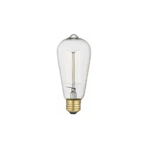 Pear Shape | Light Bulb