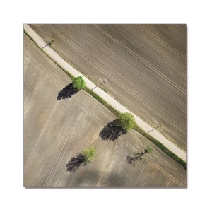 Landscape Oil Painting Printed Picture I Of Iii