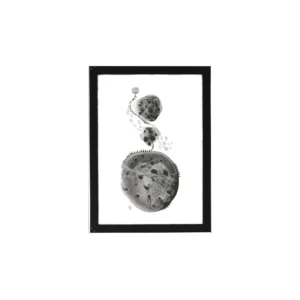 Illustration | Dancing Leaves (L230 W170 D15)