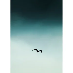 500 X 700 Small Seagul Blue Printed Art | Black Frame