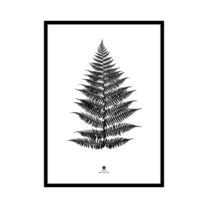 300 X 400 Small Fern Black Printed Art | Black Frame
