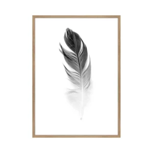 300 X 400 Small Soft Feather Printed Art | Oak Frame