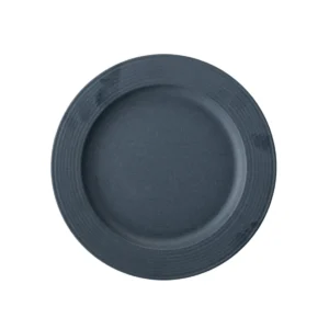 220ø Plate | Blue Colour